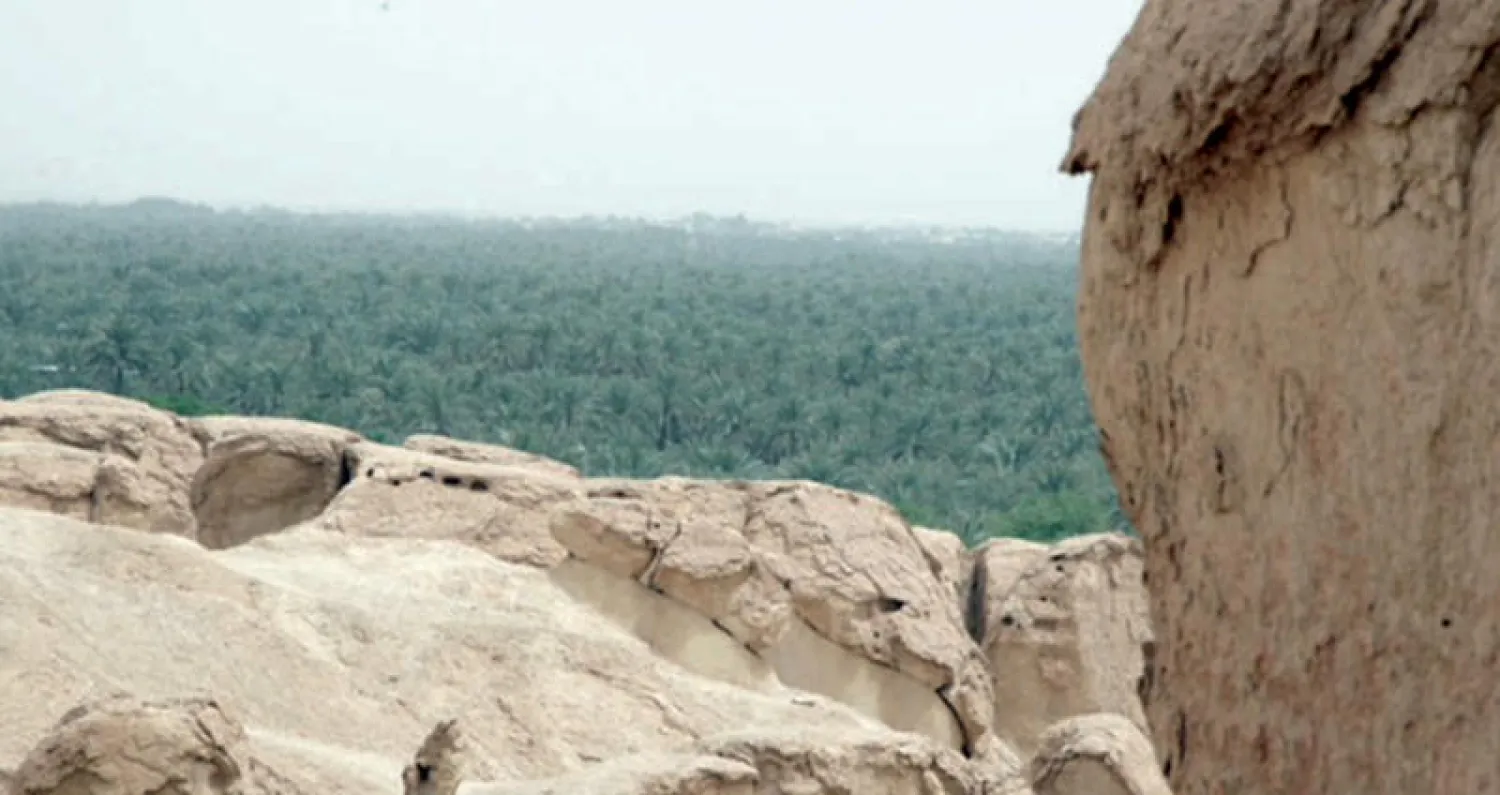 تحتضن الأحساء أكبر واحة في العالم بها 2.5 مليون نخلة (تصوير: عيسى الدبيسي)