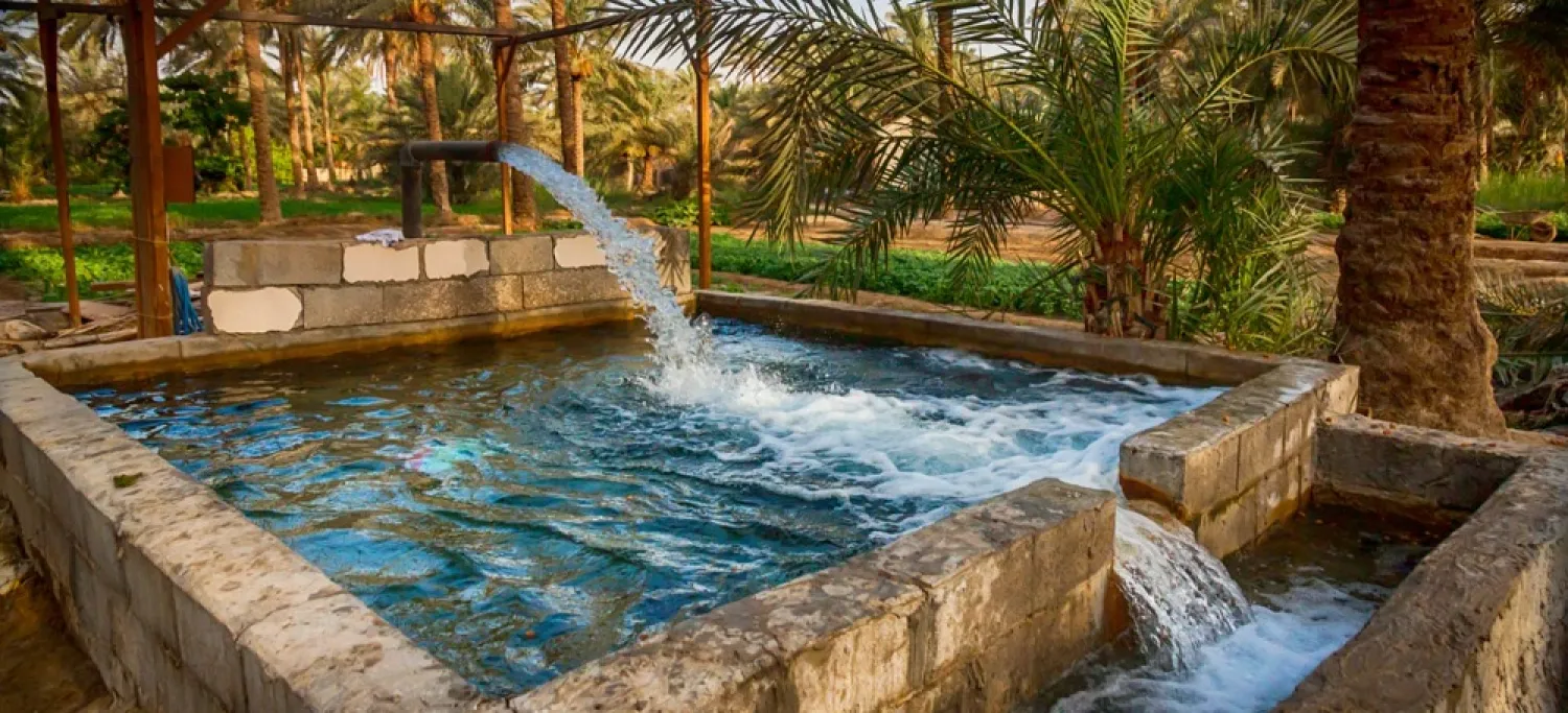 Al-Ahsa Oasis in Saudi Arabia. (Saudi Tourism)