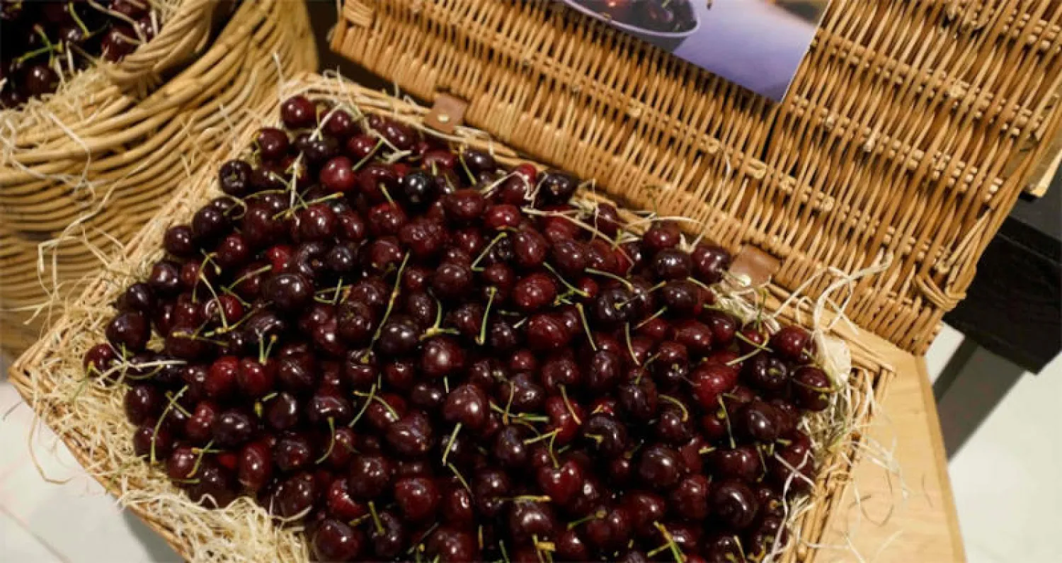 الصين تبحث عن بدائل لمنتجات أميركا والأسواق حائرة بالجانبين