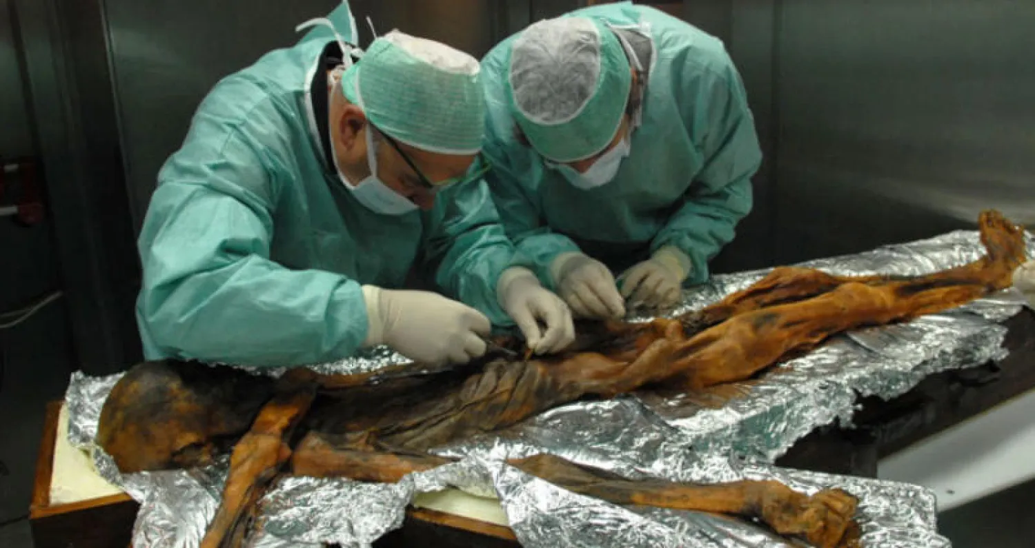 الوجبة الأخيرة لمومياء من العصر الجليدي احتوت على دهون عالية