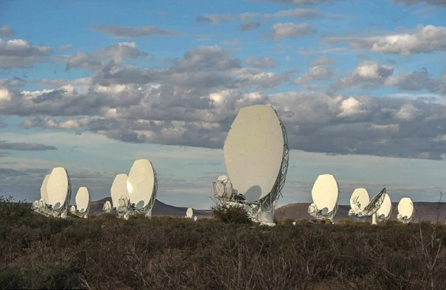 The 64-dish MeerKAT radio telescope was inaugurated in the remote South African town of Carnarvon - AFP

