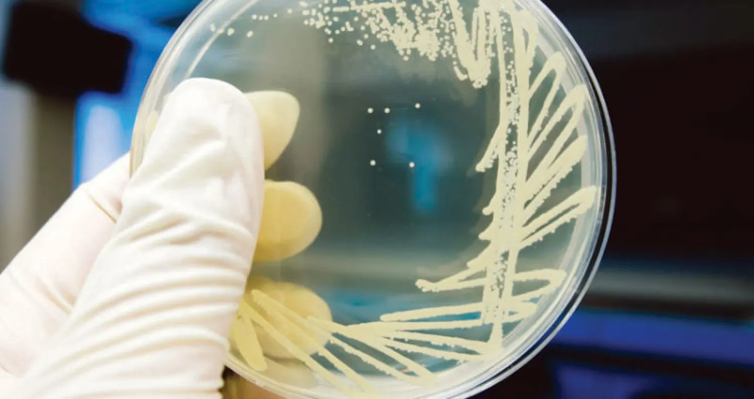 الخميرة... مخلوق سحري لم يبح بكل أسراره