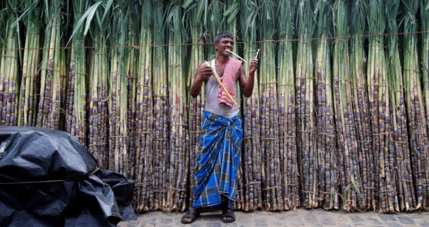 أحد المزارعين الهنود بانتظار مشترين لقصب السكر (روتيرز)