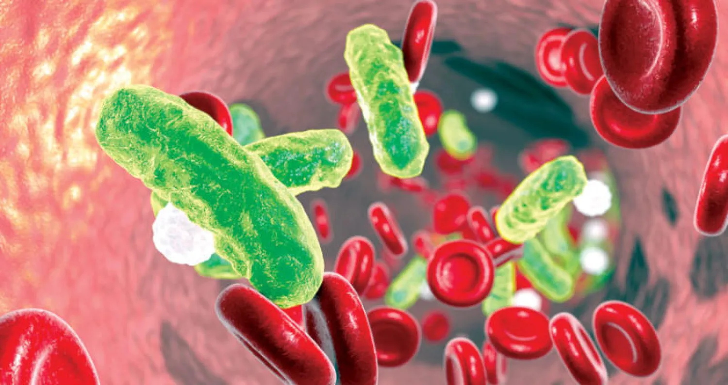 3 وسائل ضرورية للحماية من تسمم الدم لدى الأطفال