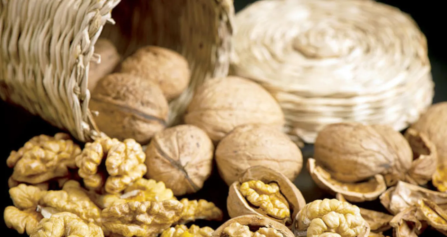 الجوز يقلل من الإصابة بمرض السكري ومسببات أمراض القلب