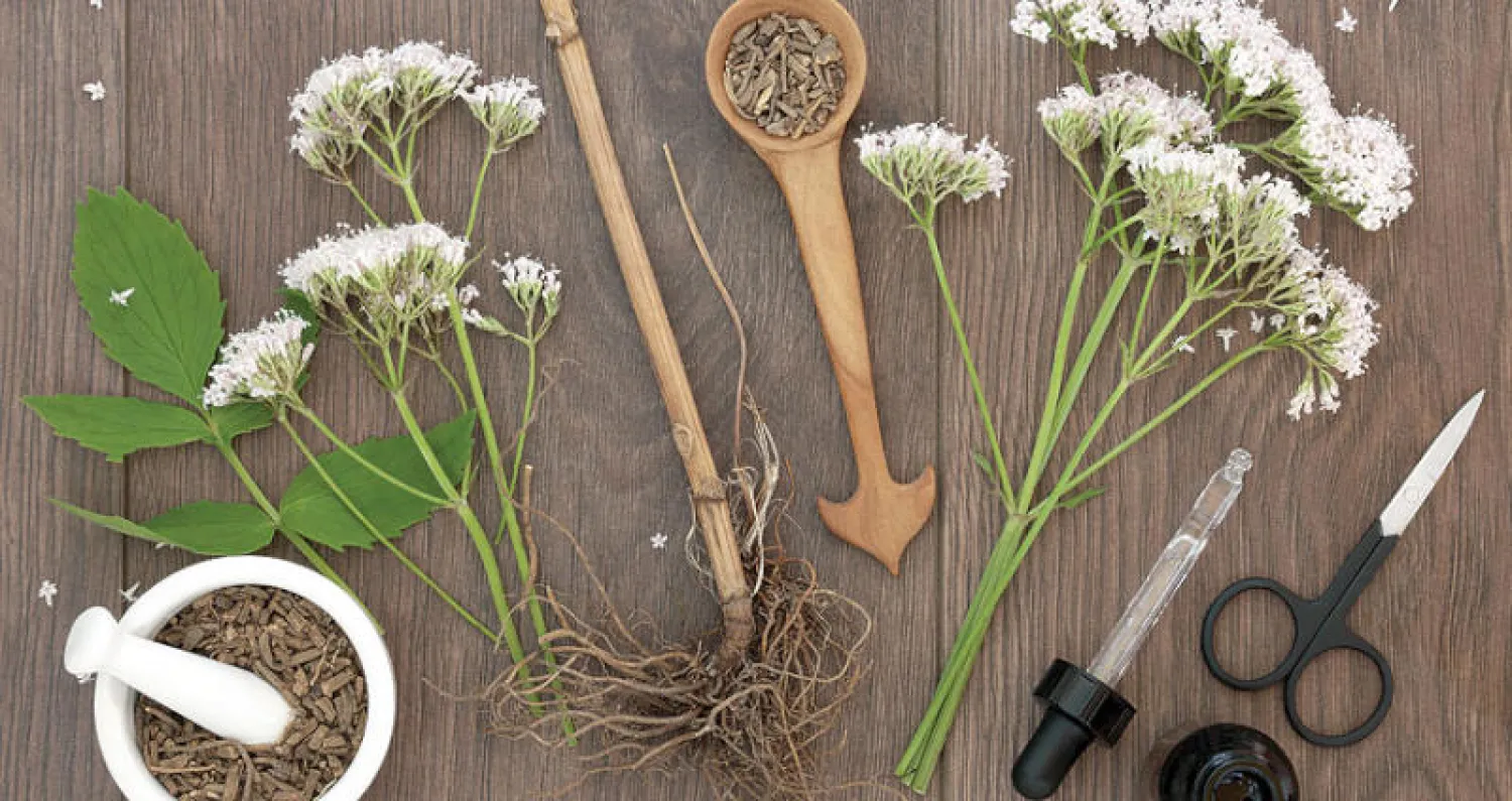 نبات الناردين يساعد على النوم