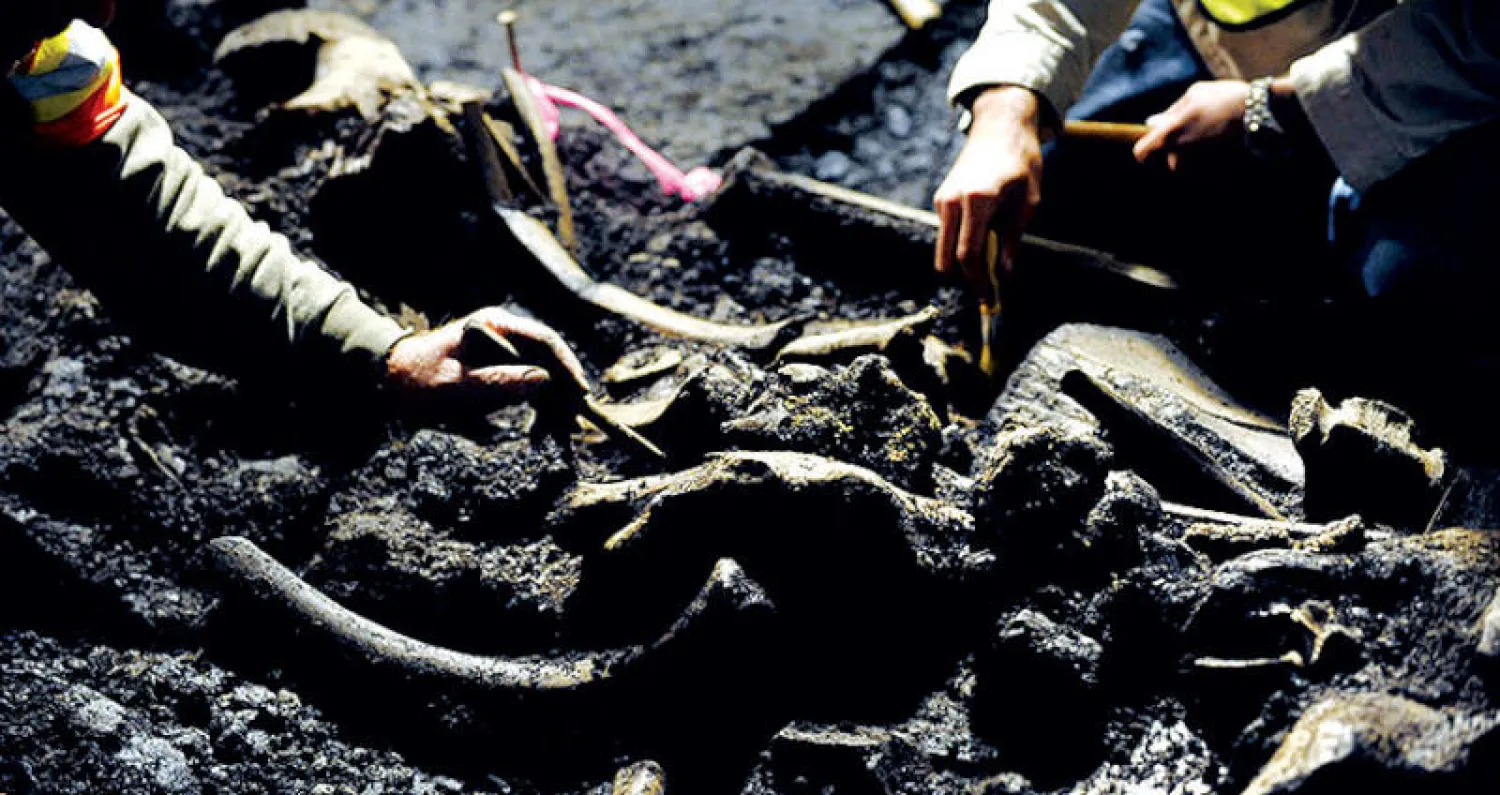 جزء من الهيكل العظمي في ياقوتيا