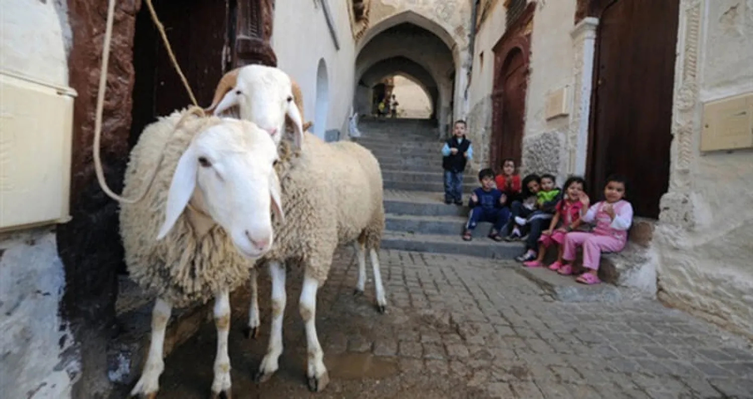 تغيّر عادات عيد الأضحى في تونس