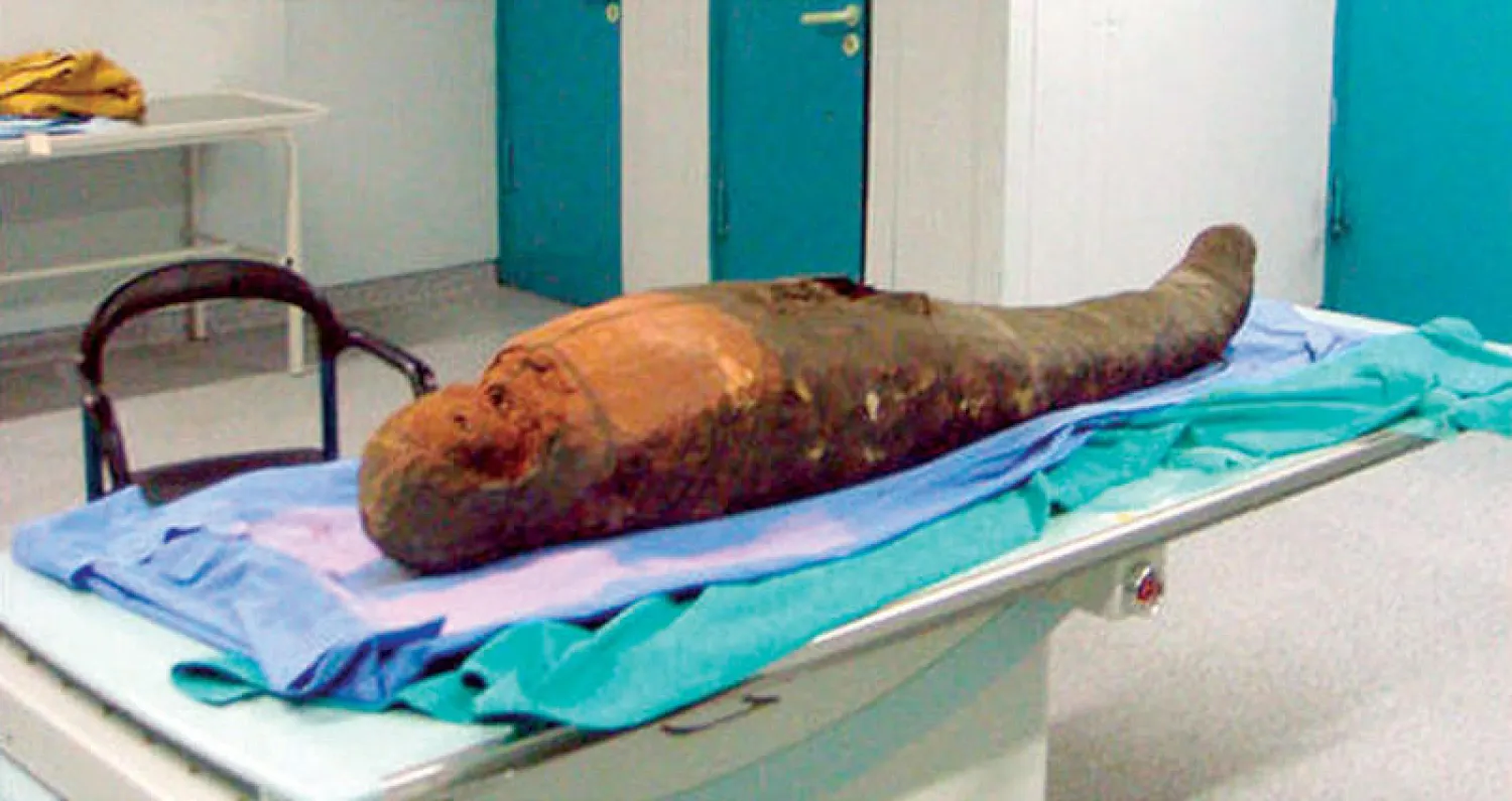 إحدى المومياوات التي خضعت للدراسة