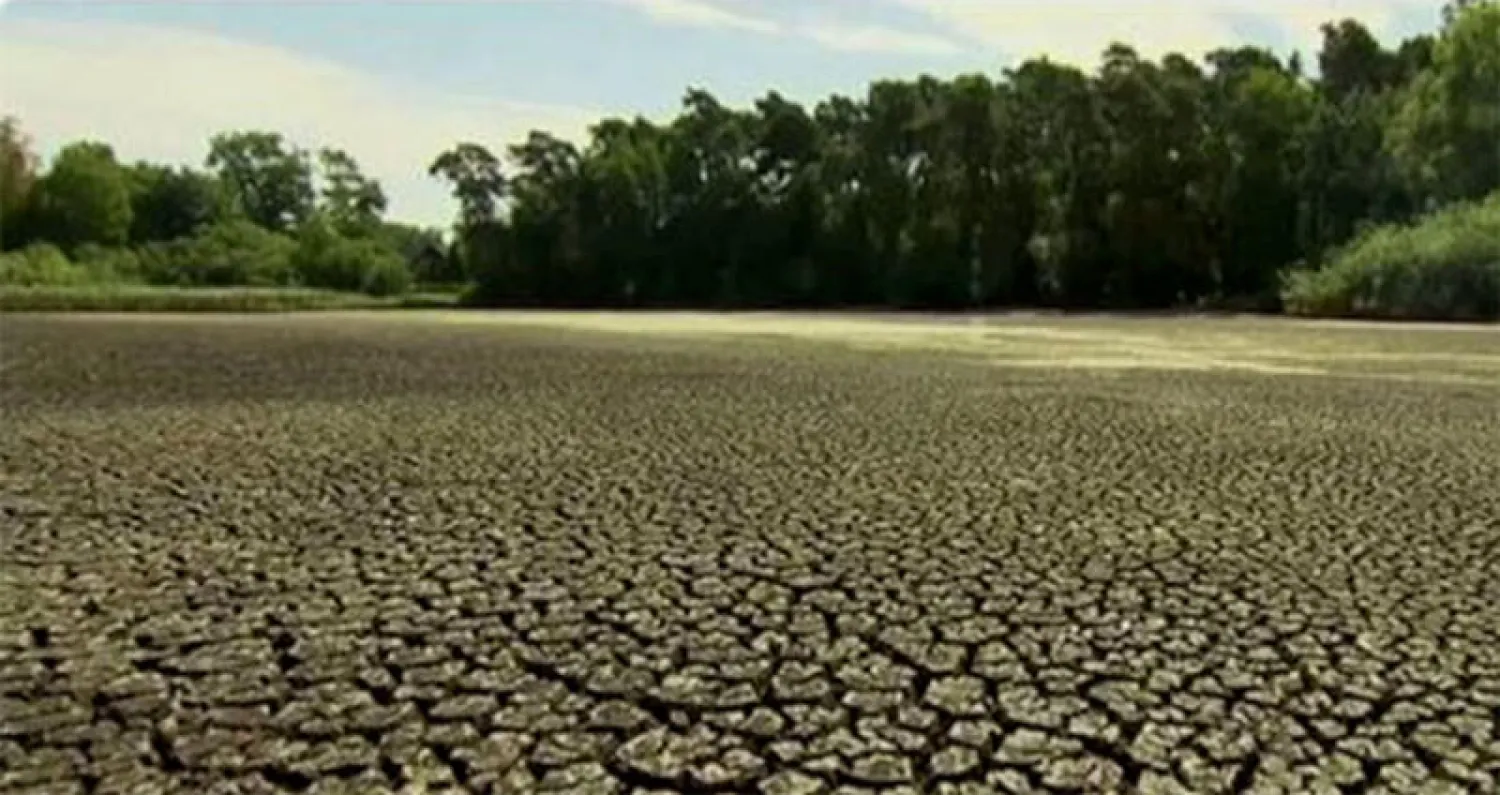 مساعدات عاجلة للمزارعين المتضررين من الجفاف في ألمانيا