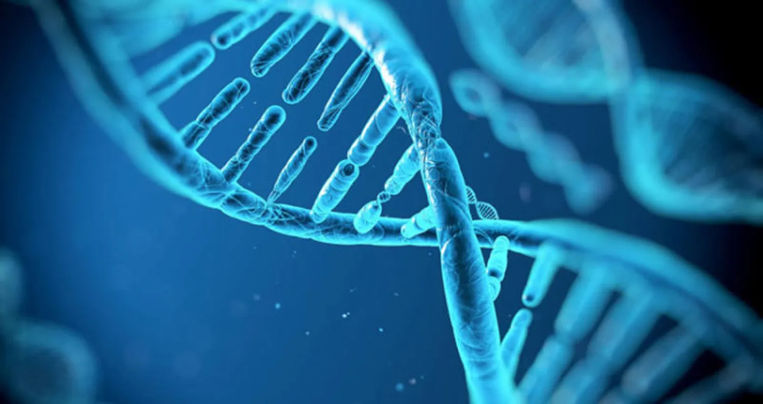 باحثون يجربون الجينات في علاج تلاشي العضلات في عالم الحيوان