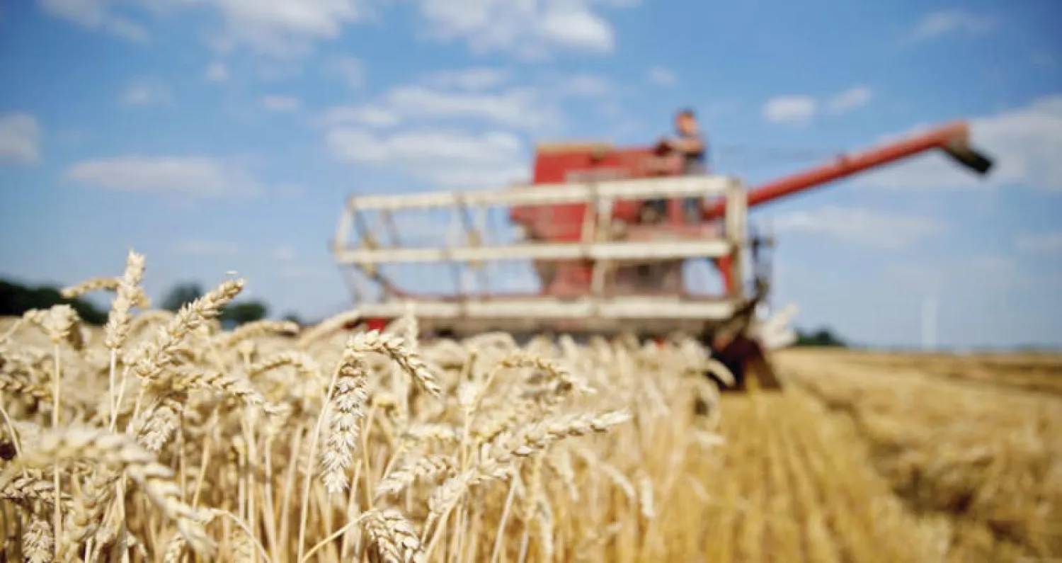 عانت أوروبا هذه السنة من ظروف مناخية قاسية أثرت بشكل كبير على المحاصيل الزراعية (رويترز)