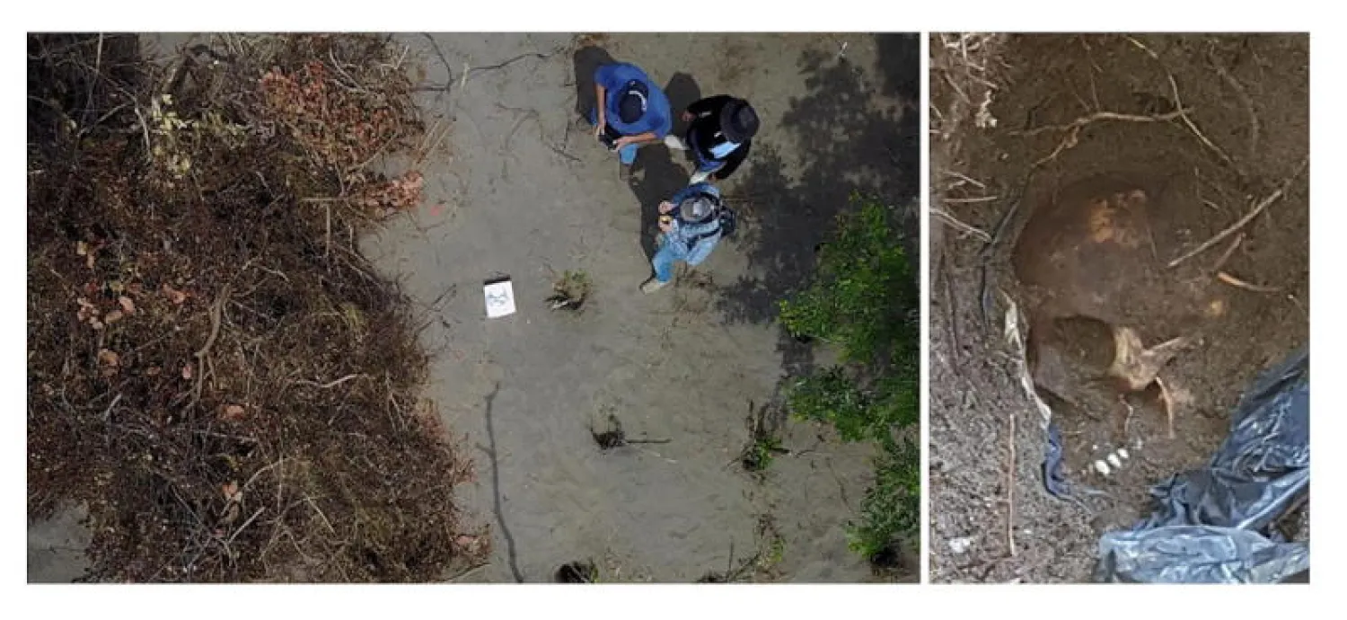 مشهد من أحد المقابر كان أعلن عنه المدعي العام بولاية  فيراكروز المكسيكية (إ.ب.أ)