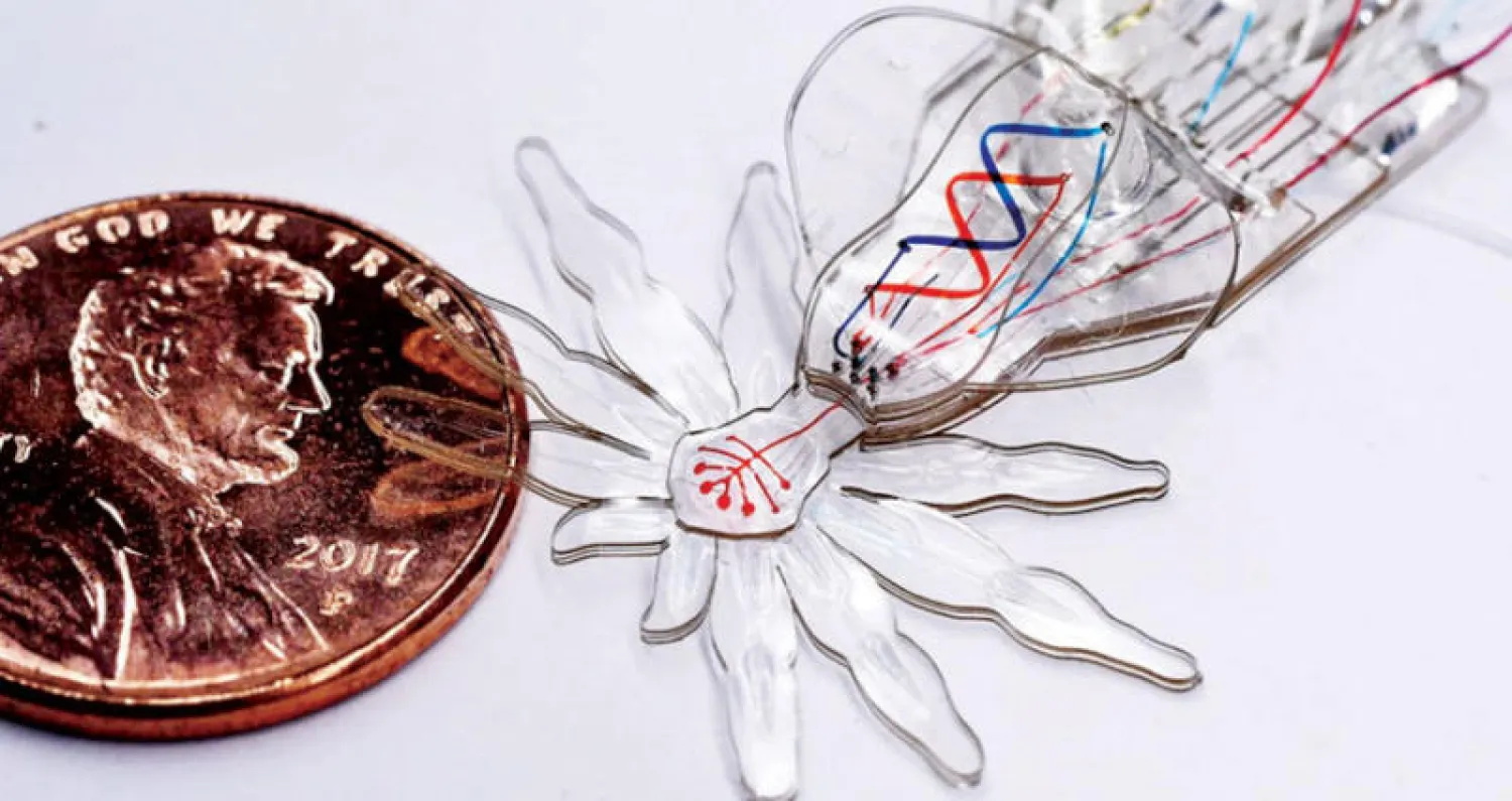 روبوتات صغيرة تدخل الجسم البشري... لحل مشكلاته