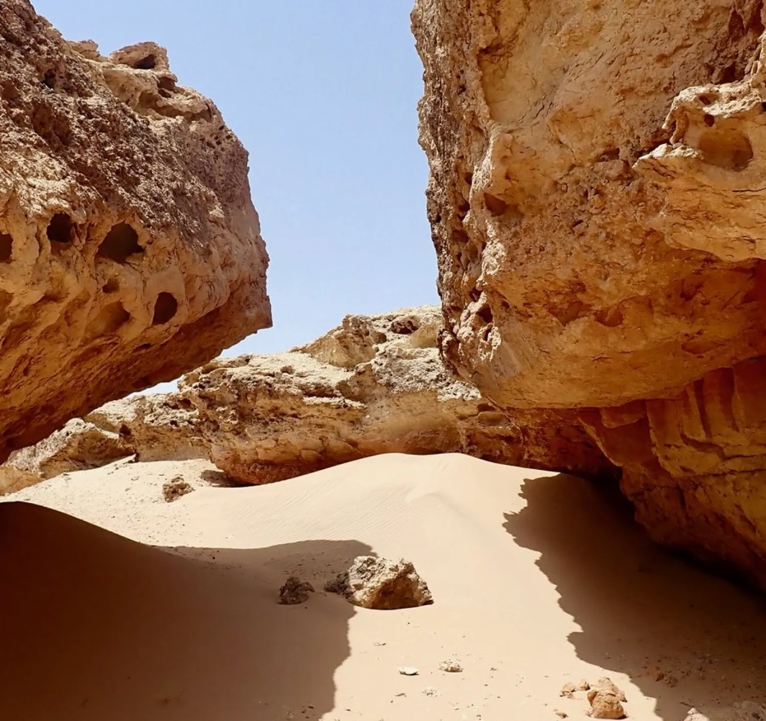 NEOM begins environmental, geological surveys of construction sites. (NEOM Twitter account)