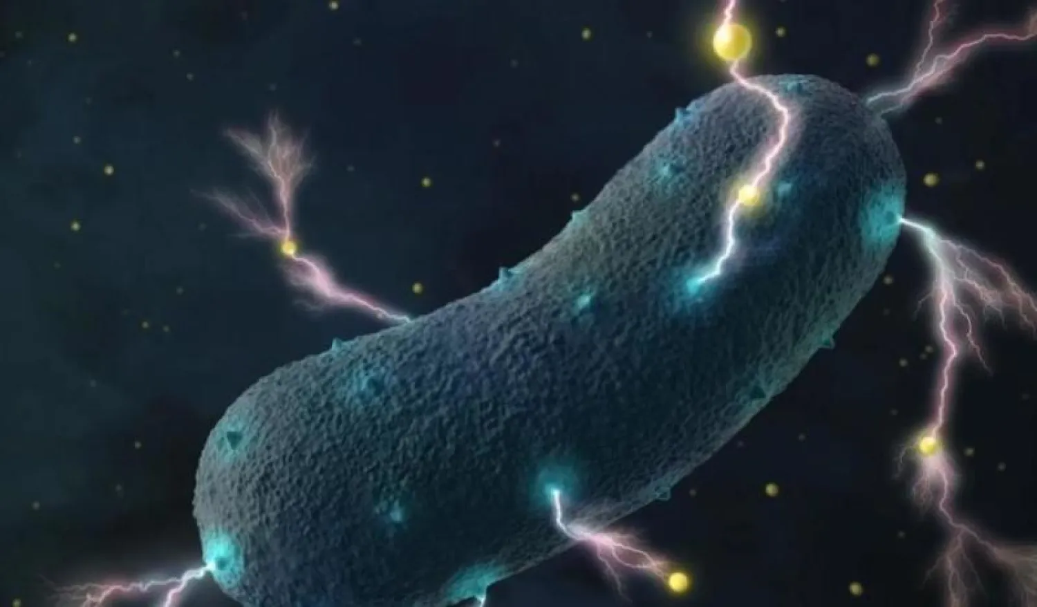 بكتيريا الأمعاء يمكنها أن تنتج 500 ميكروأمبير من الكهرباء (الإندبندنت)