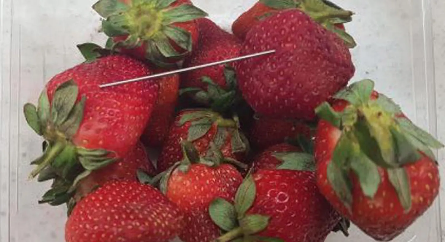 صورة نشرتها شرطة كوينزلاند تظهر إبرة معدنية في سلة لثمار الفراولة في مدينة غلادستون (إ.ب.أ)