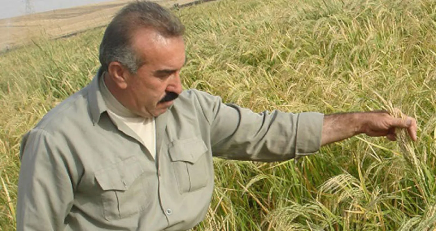 العراق سيقلص مساحة زراعة محاصيل الشتاء 55 % (فاو)