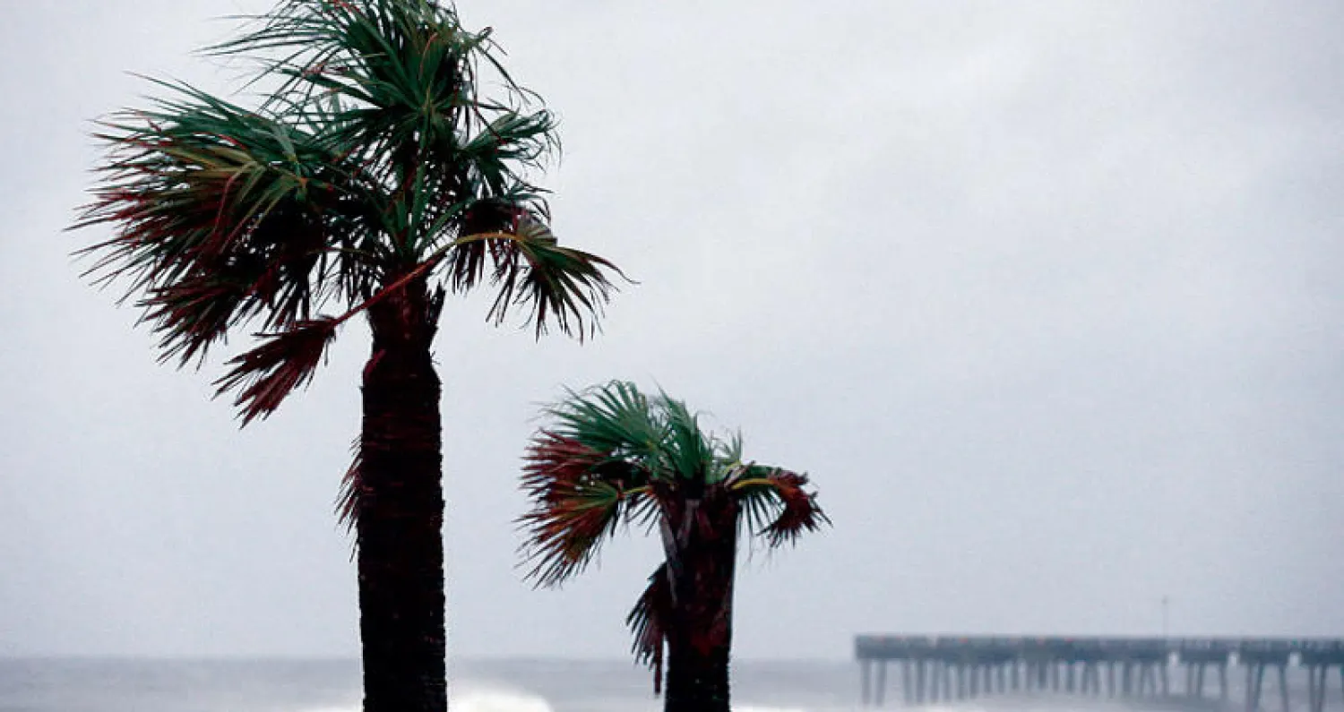 رياح قوية استبقت وصول الإعصار إلى «بنما سيتي» في فلوريدا (رويترز)