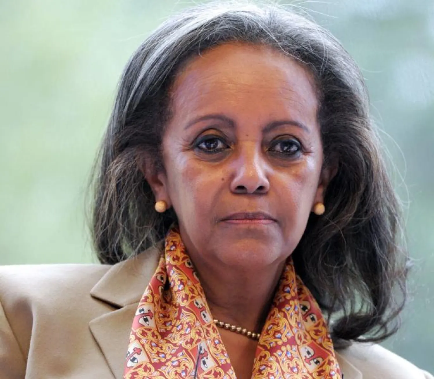 سهلي ورق زودي (أ.ف.ب)