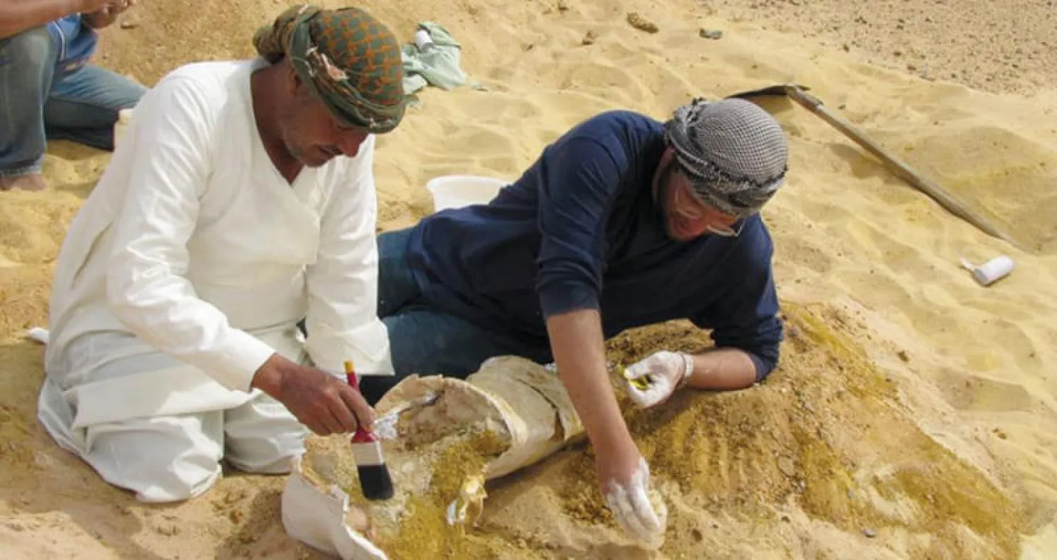 الفريق البحثي المعني باكتشاف أقدام «مصر سيتس» أثناء مهمة قادت للعثور على أجزاء من الحوت عام 2017