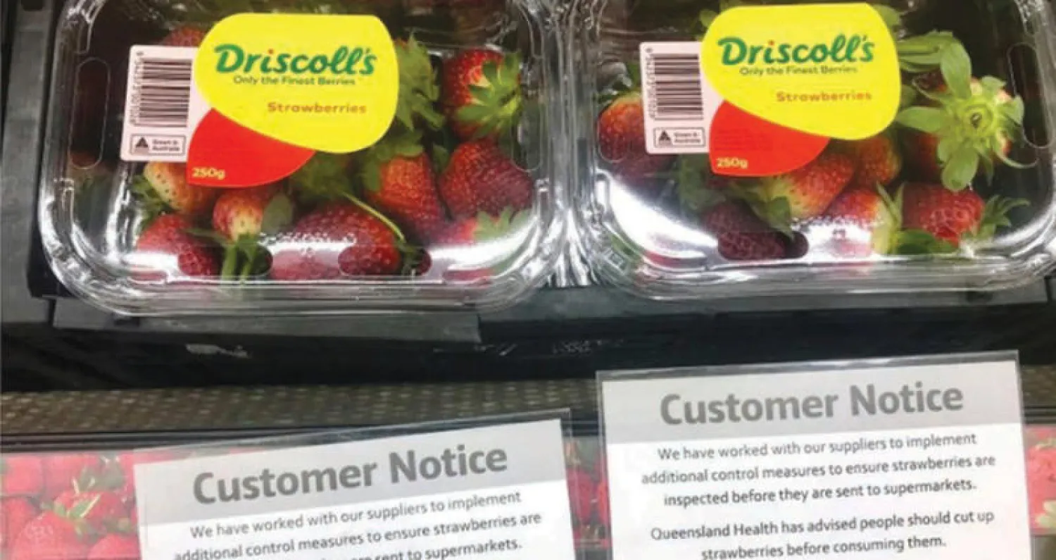 القبض على امرأة بتهمة غرس إبر حياكة في الفراولة