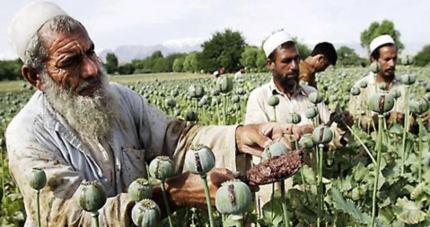 معارك محتدمة بين «طالبان» والقوات الحكومية