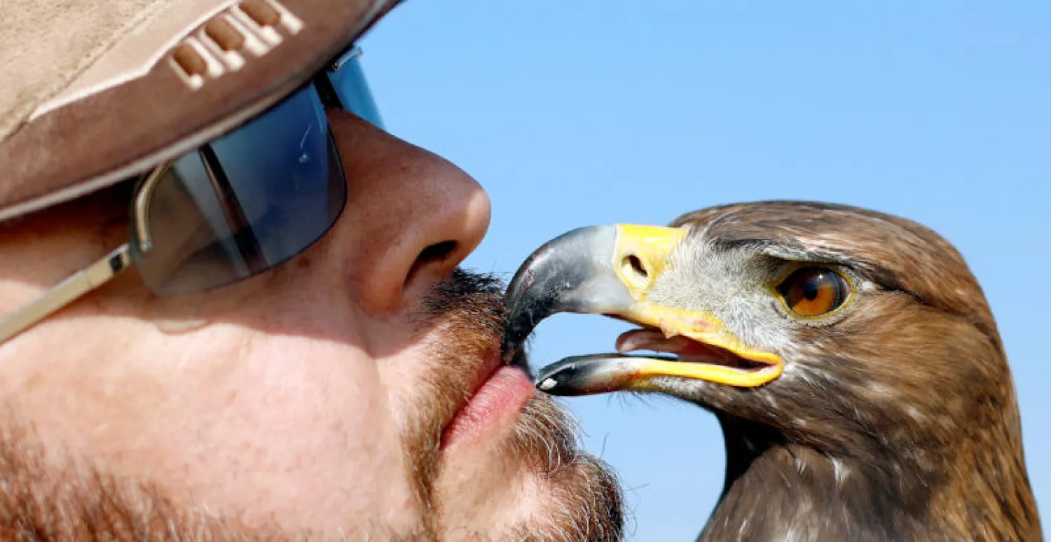 عدد من الصقور تحت الشمس المشرقة (رويترز)
صقر يمسك بأرنب خلال يوم الصقارة العالمي بمصر (رويترز)
عمار... طفل مصري يحتفل مع الصقر «أشقر» في اليوم العالمي للصقور (رويترز)
طفل بدوي يحمل صقراً في اليوم العالمي للصقور (رويترز)
محمد موافي... أحد الصقارة في نادي الجوارح المصري (رويترز)
صقر ذهبي كما ظهر في اليوم العالمي للصقور (رويترز)
ياسر الخوانكي أحد الصقارة يحمل صقره في اليوم العالمي للصقور (رويترز)
أعضاء من نادي الجوارح المصري في صحراء برج العرب (رويترز)
أعضاء من نادي الجوارح المصري في احتفالية اليوم العالمي للصقور (رويترز)
صقر يلحق بفريسته من الأرانب في اليوم العالمي للصقور (رويترز)