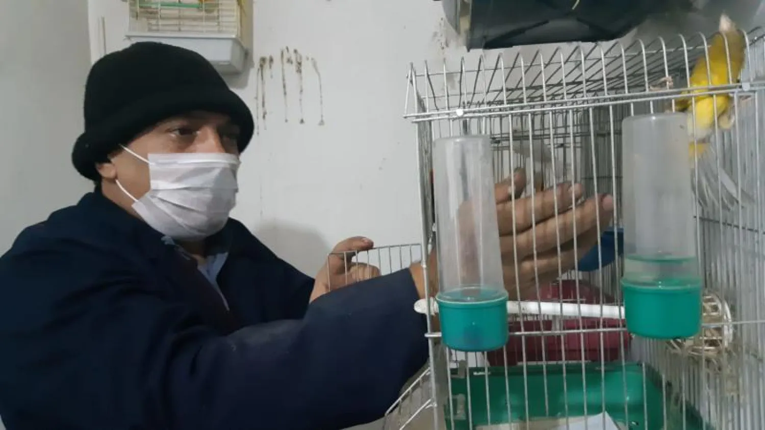 أحد مربّي الطيور السوريين في غازي عينتاب («الشرق الأوسط»)