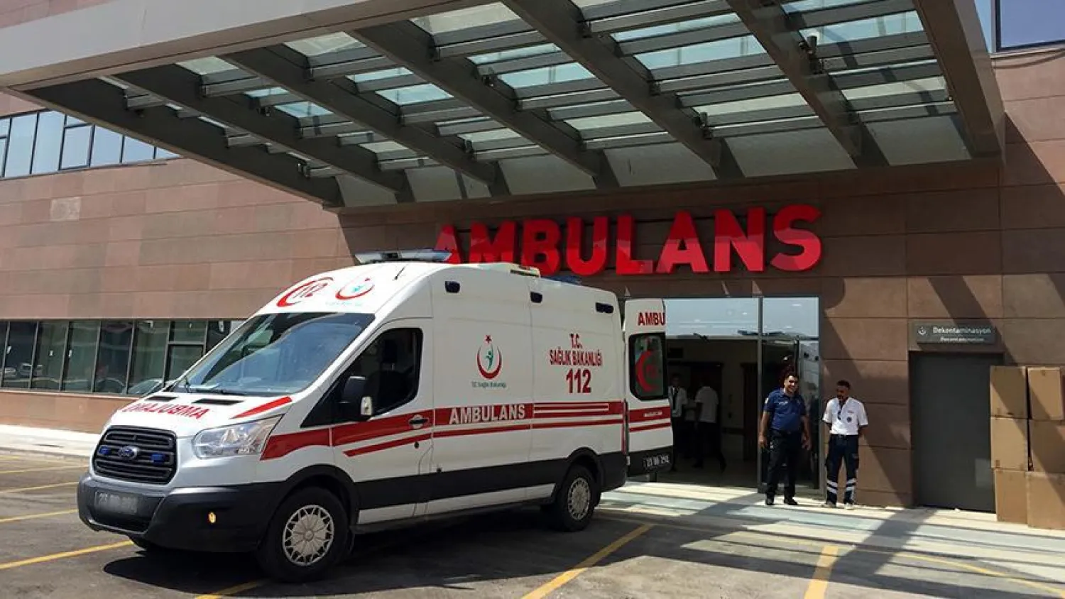 Sokak köpekleri öğrencilere saldırdı: 1 ölü, 1 yaralı