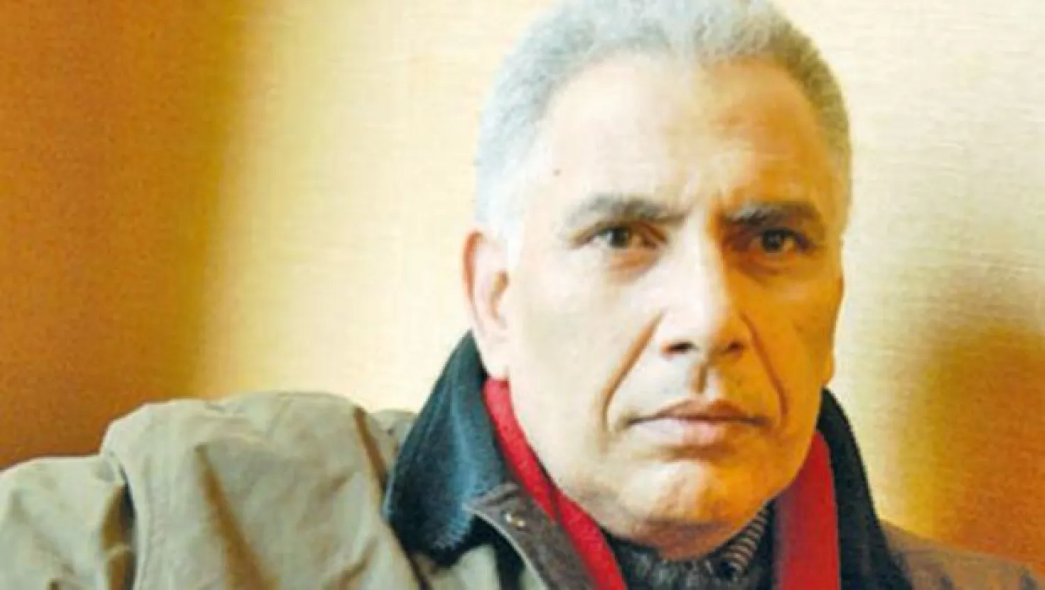 الشاعر والمترجم المصري رفعت سلام  (أرشيفية)