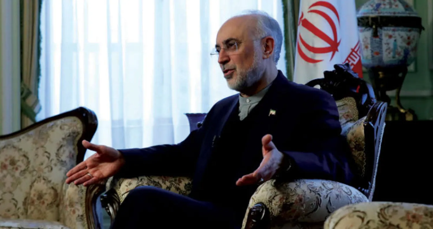 رئيس المنظمة الإيرانية للطاقة الذرية علي أكبر صالحي في بروكسل نوفمبر الماضي (رويترز)