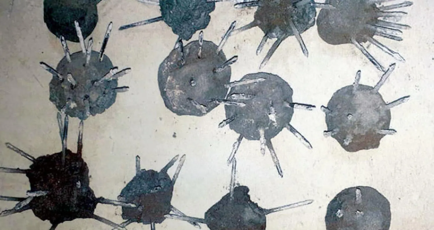 جانب من مضبوطات الداخلية المصرية أمس (الشرق الأوسط)