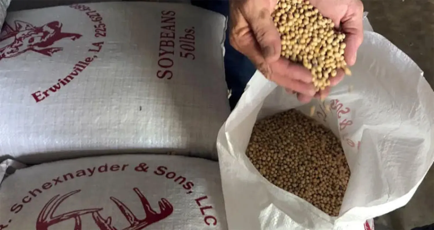 الصين تشتري فول صويا أميركياً بكميات أكبر في أعقاب المحادثات التجارية