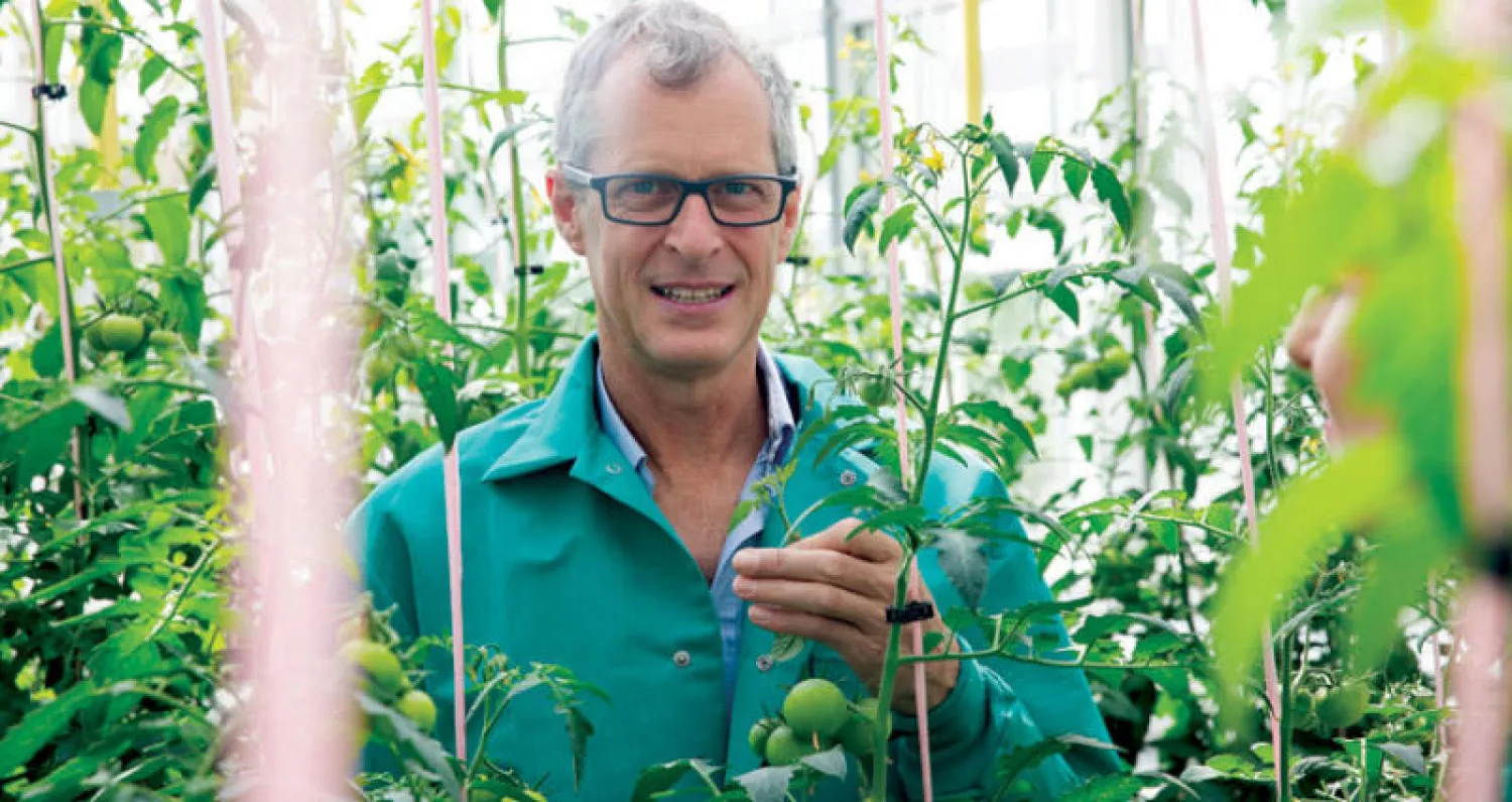 البروفسور مارك تيستر أستاذ علوم النبات في جامعة الملك عبد الله للعلوم والتقنية الفائز بجائزة خليفة الدولية لنخيل التمر والإبداع الزراعي لعام 2019 (الصورة بعدسة: سارة مُنشي)