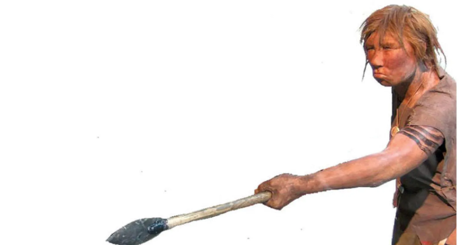 الإنسان البدائي تناول اللحوم بكثافة