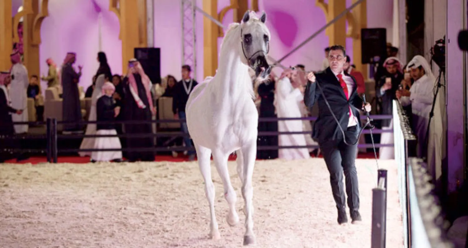 من منافسات مهرجان الشرقية للخيل العربية الأصيلة (الشرق الأوسط)
