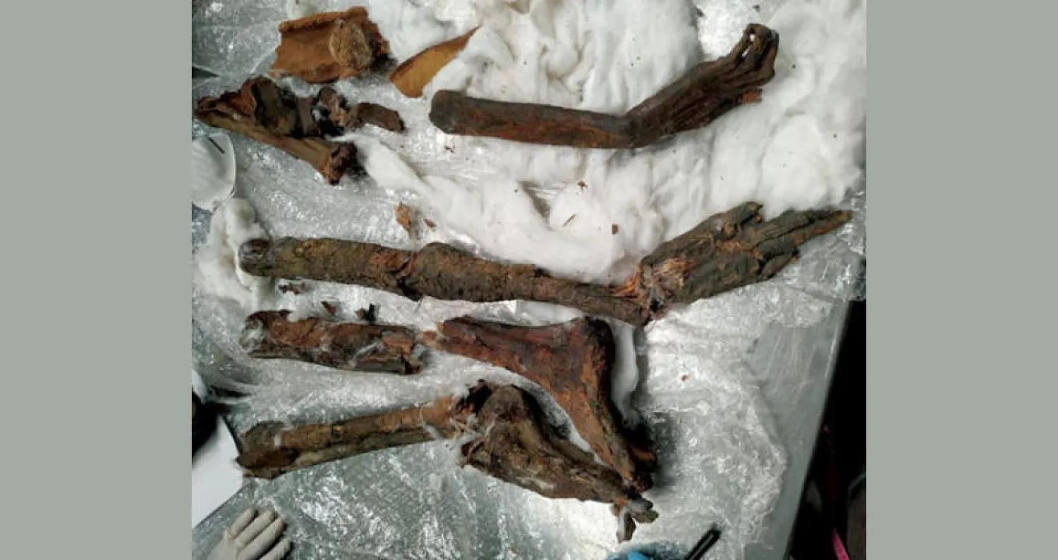 السلطات المصرية أحبطت تهريب أجزاء من مومياء أثرية في سماعات