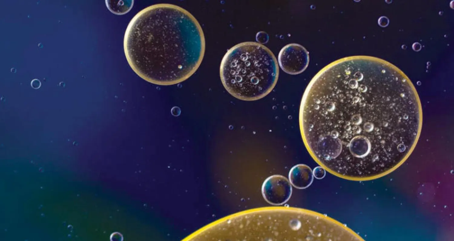 خلايا الجسم الدهنية تعمل بنظام «الورديات»