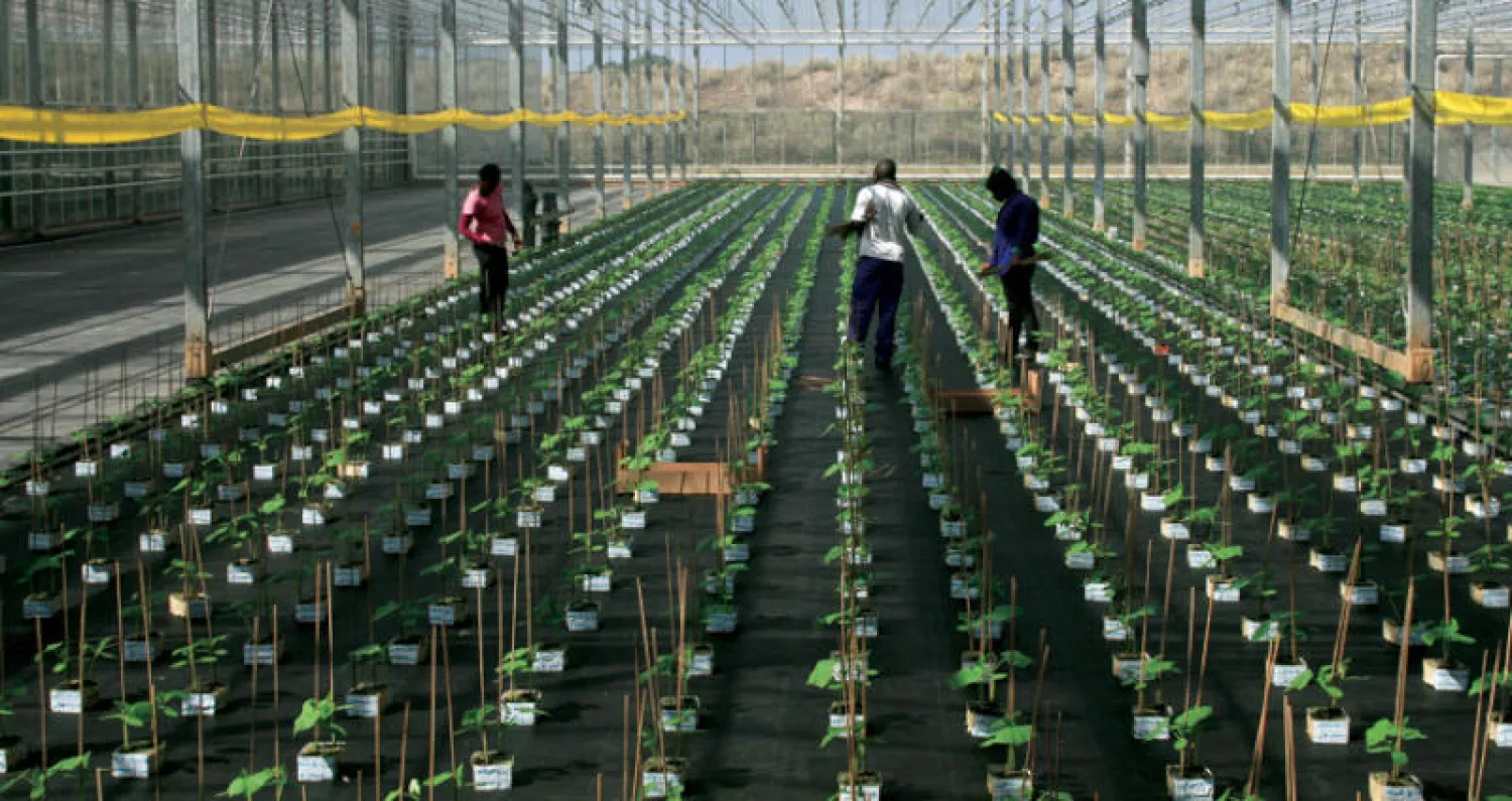 اجتماع أفريقي يبحث في مراكش التوسع في استعمال المخصبات الزراعية