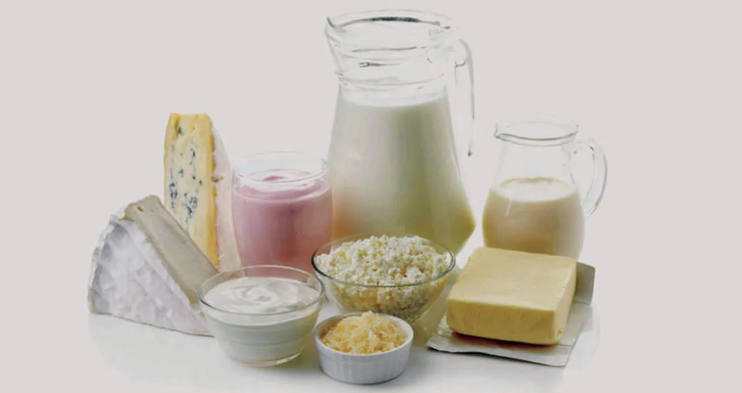 منتجات الألبان... «تحت المجهر»