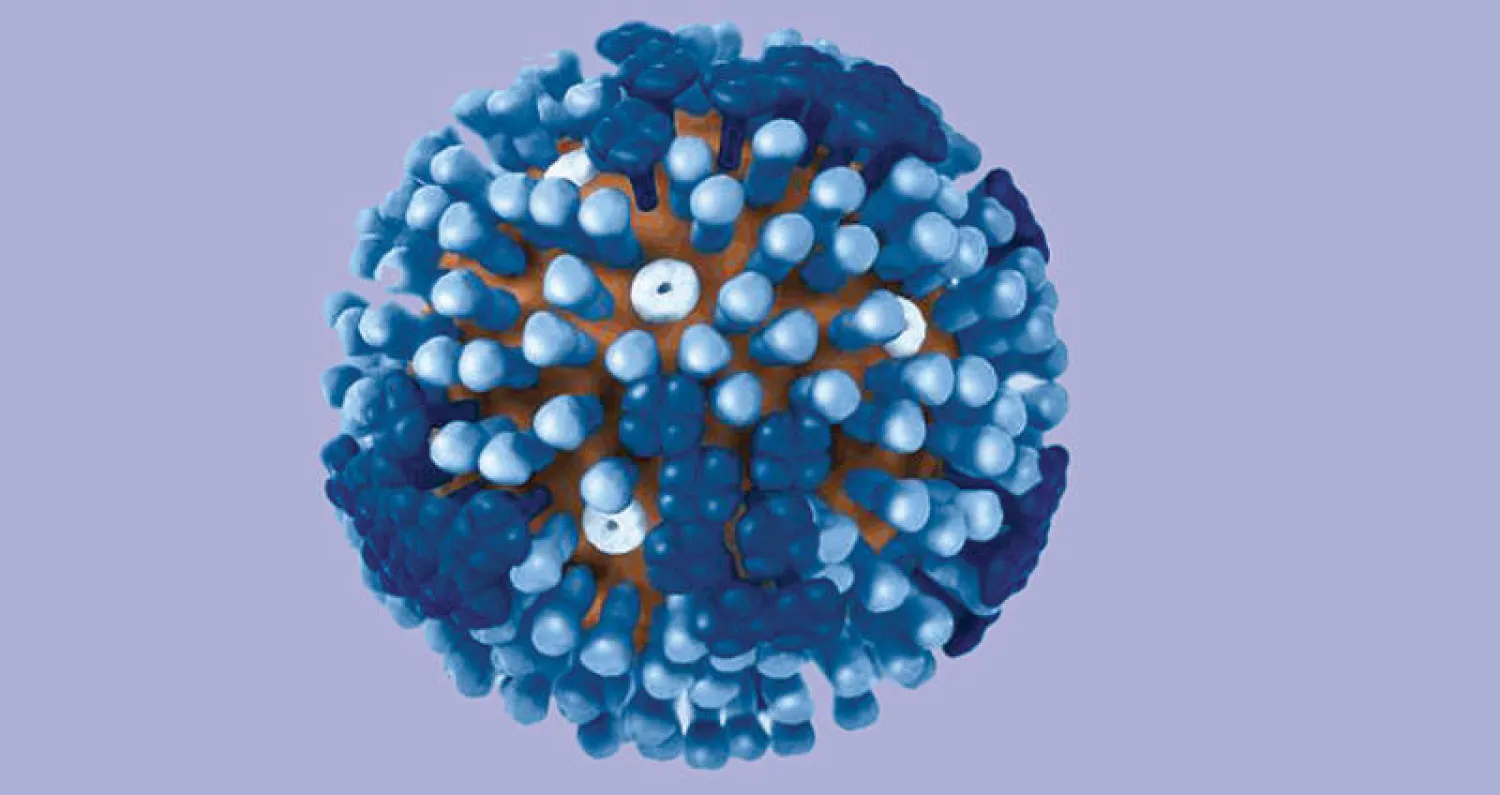 صورة ثلاثية الأبعاد  لفيروس الإنفلونزا
