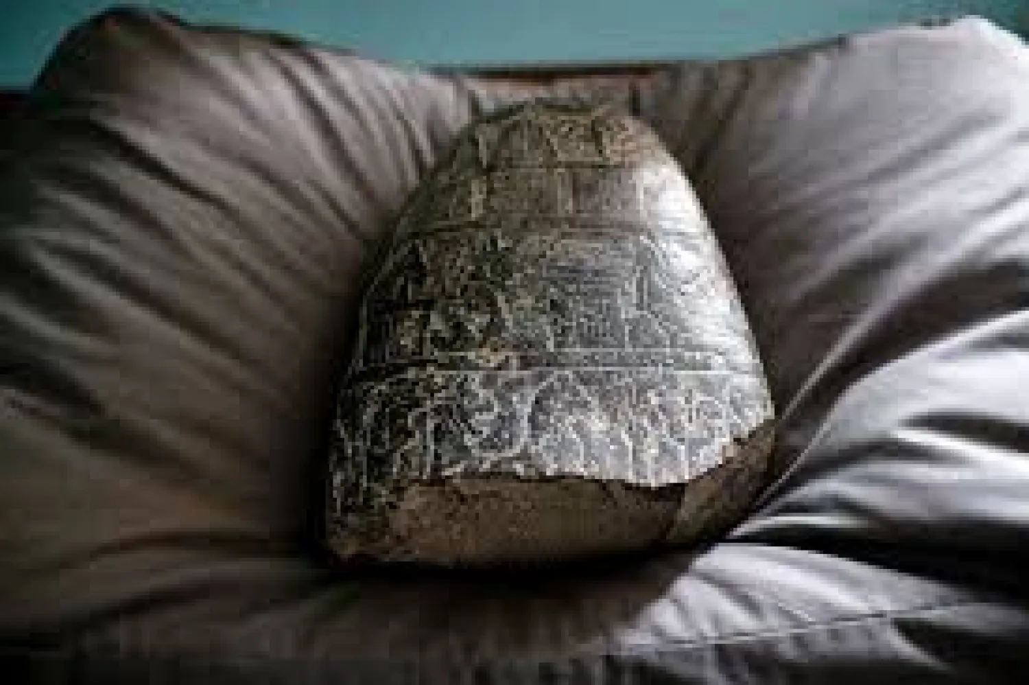 The kudurru is a ceremonial stone tablet recording the legal gifting of land by Babylonian king Nebuchadnezzar I to one of his subjects | AFP