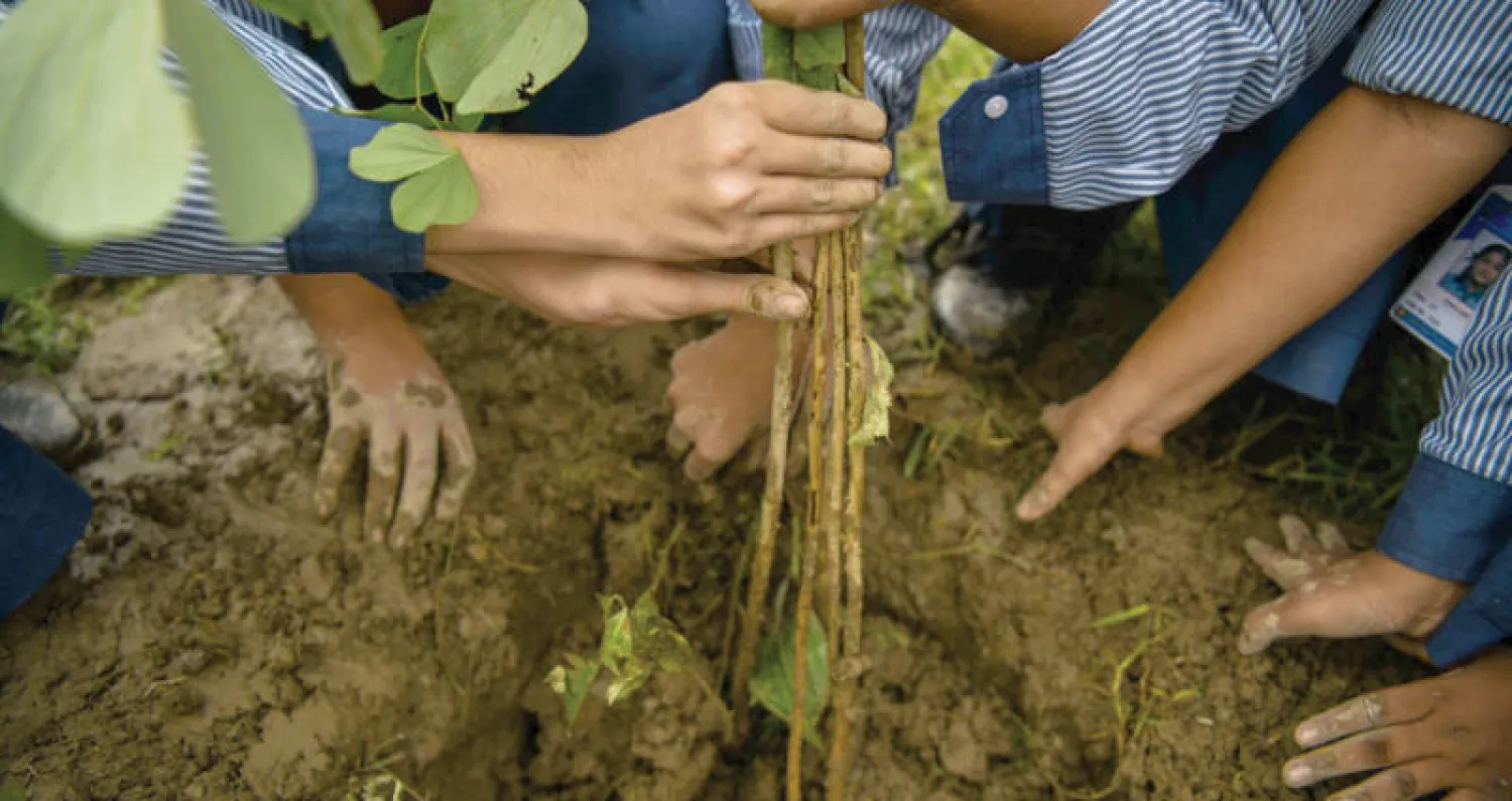 زراعة الأشجار ورعايتها عقوبة جديدة ضد مرتكبي الجنح في الهند