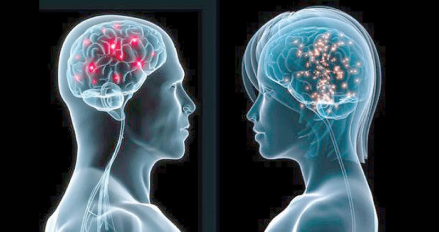 هل يمتلك الرجل دماغاً مختلفاً عن دماغ المرأة؟