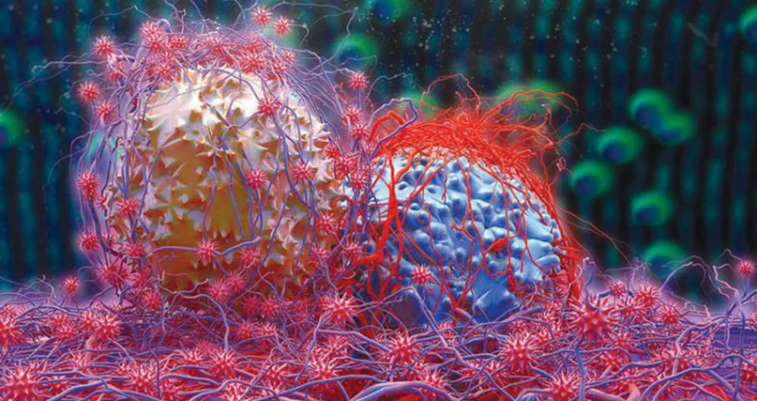 الخلايا السرطانية تهاجم الجسم في جماعة (جامعة مونتريال)