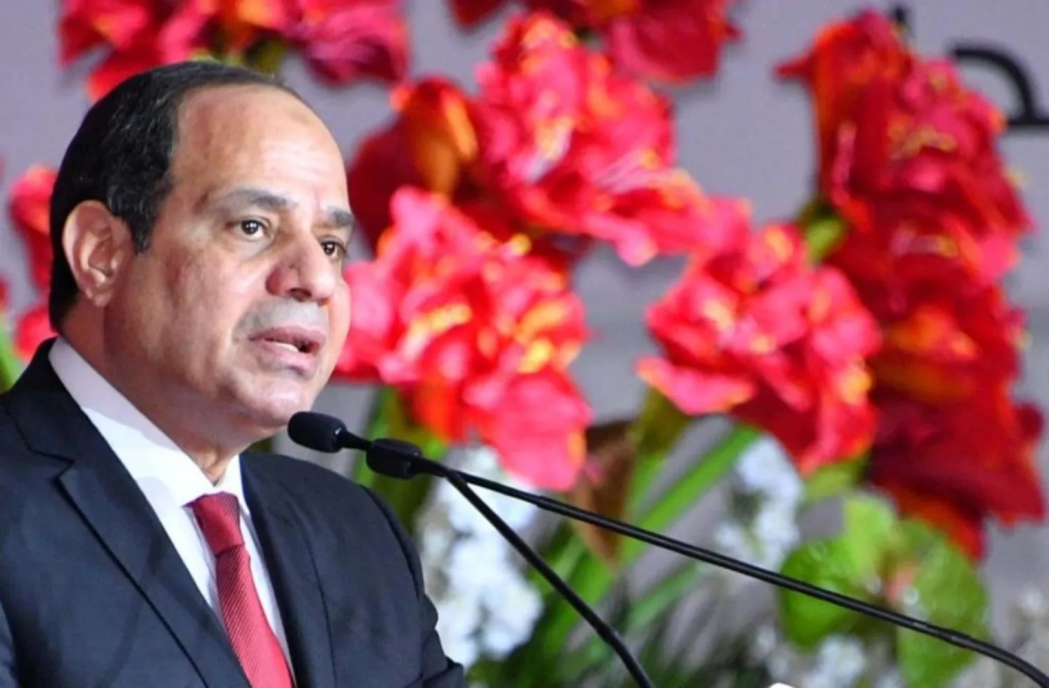 Egyptian President Abdul Fattah al-Sisi. (Reuters)