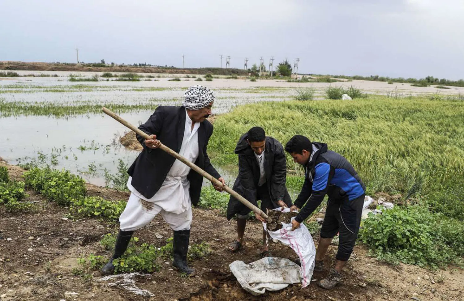 مزارعون عرب في مدينة تستر شمال الأحواز يستعدون لفيضان نهر كارون (أرنا)