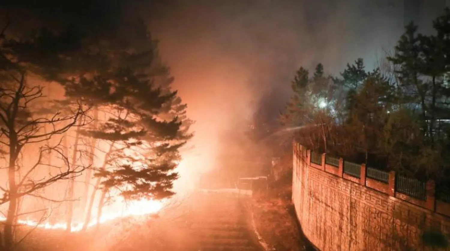 Yangın ülkenin kuzeydoğu kıyıları boyunca ilerledi (AFP)
