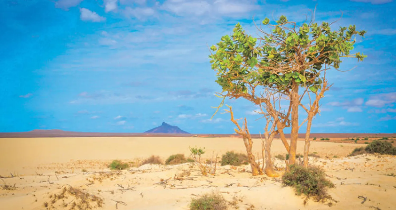 تغيُّر المناخ يهدد بمزيد من الأعاصير المدمِّرة